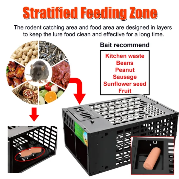 High Quality Double-door Big Mouse Rats Live Trap Cage/Strong Catch Bait/Pest Control - Image 2