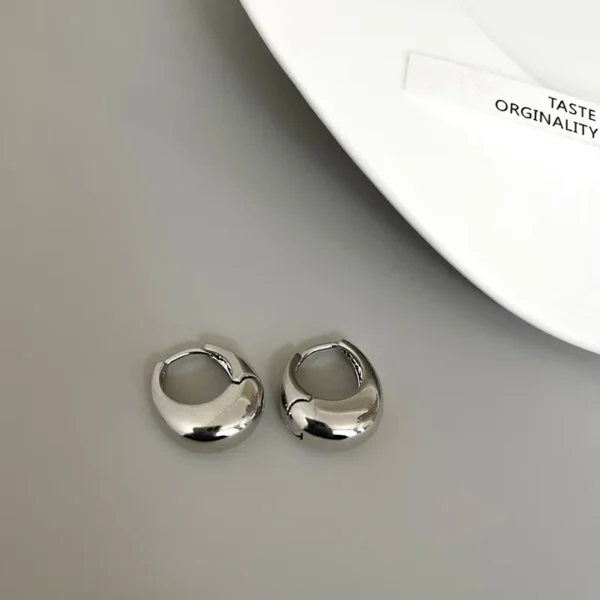 Stainless Steel Smooth Metal Chunky Hoop Earrings For Women Girls Fashion Round Circle Hoops Statement Earrings Punk Jewelry - Image 6