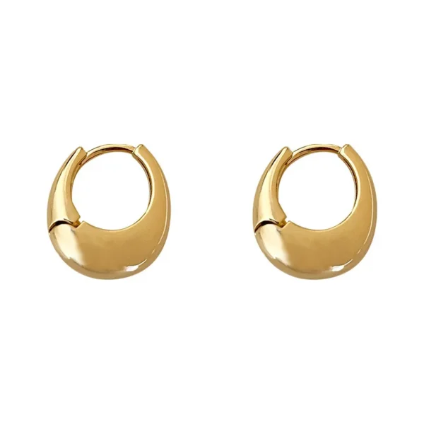 Stainless Steel Smooth Metal Chunky Hoop Earrings For Women Girls Fashion Round Circle Hoops Statement Earrings Punk Jewelry - Image 5