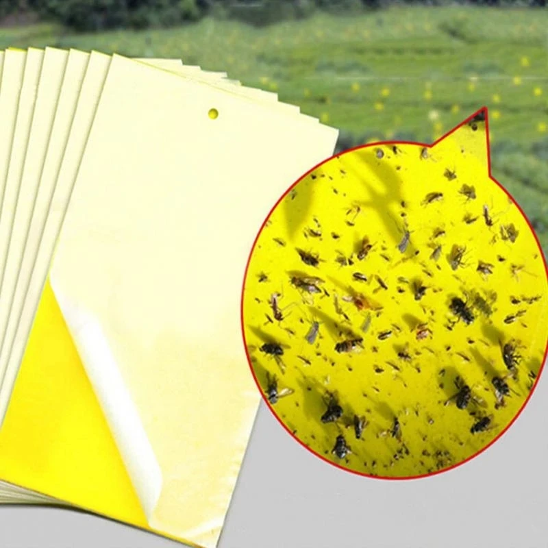 30-100pcs Strong Fruit Fly Traps Bugs yellow Sticky Board pest control insect killer Two-sided glue paper trap for kill pests - Image 4