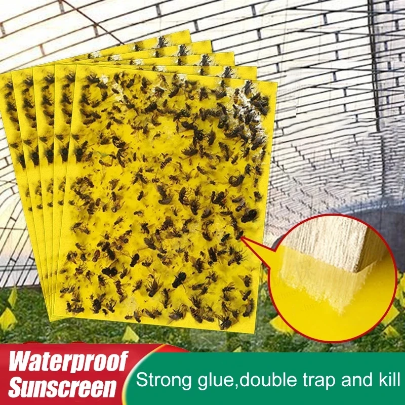 30-100pcs Strong Fruit Fly Traps Bugs yellow Sticky Board pest control insect killer Two-sided glue paper trap for kill pests