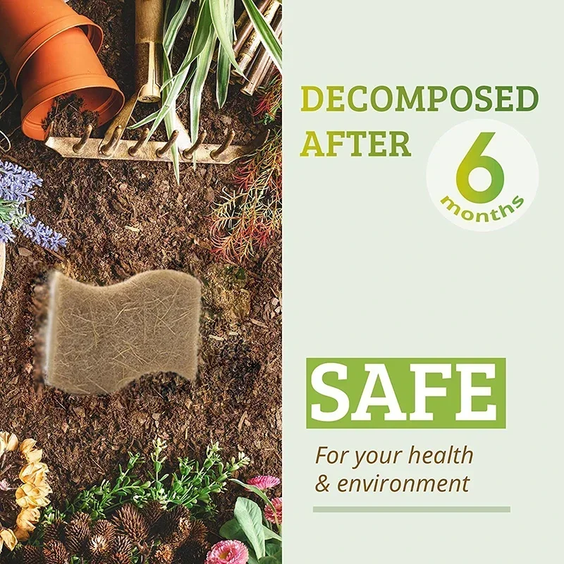 Eco-Friendly Natural Plant Scrub Sponges and Coconut Scrubber Sponge Natural Sponges for Dishes Eco Friendly Kitchen Accessories - Image 6