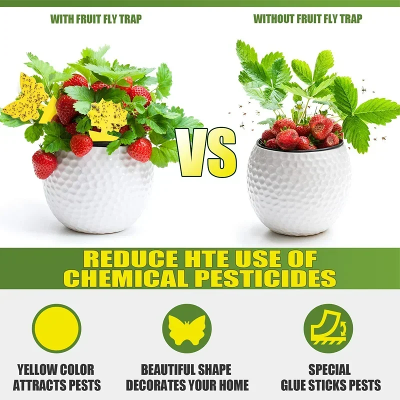 36 Pieces/set of Yellow Insect Traps, Garden Flower Traps, Traps to Eliminate Pests, Small Flying Insects, Small Black Flying in - Image 3