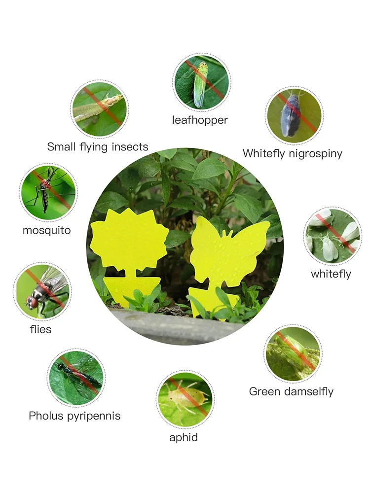 36 Pieces/set of Yellow Insect Traps, Garden Flower Traps, Traps to Eliminate Pests, Small Flying Insects, Small Black Flying in - Image 2