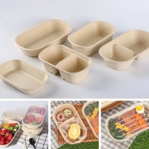 Paper Light Food Box Degradable Fitness Paper Pulp Lunch Box Thick Bento Box 500ml/700ml/850ml/1000ml Disposable Packing