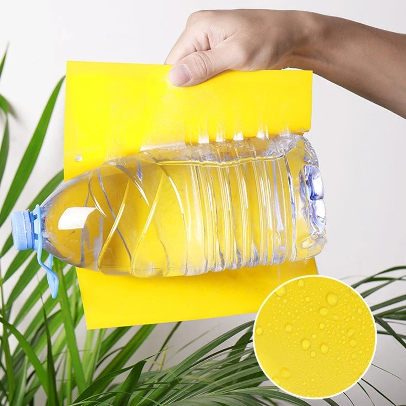 30-100pcs Strong Fruit Fly Traps Bugs yellow Sticky Board pest control insect killer Two-sided glue paper trap for kill pests - Image 6