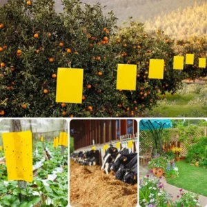 20/40pcs stick insect double-sided insect trap is suitable for vegetable garden, potted orchard and greenhouse.