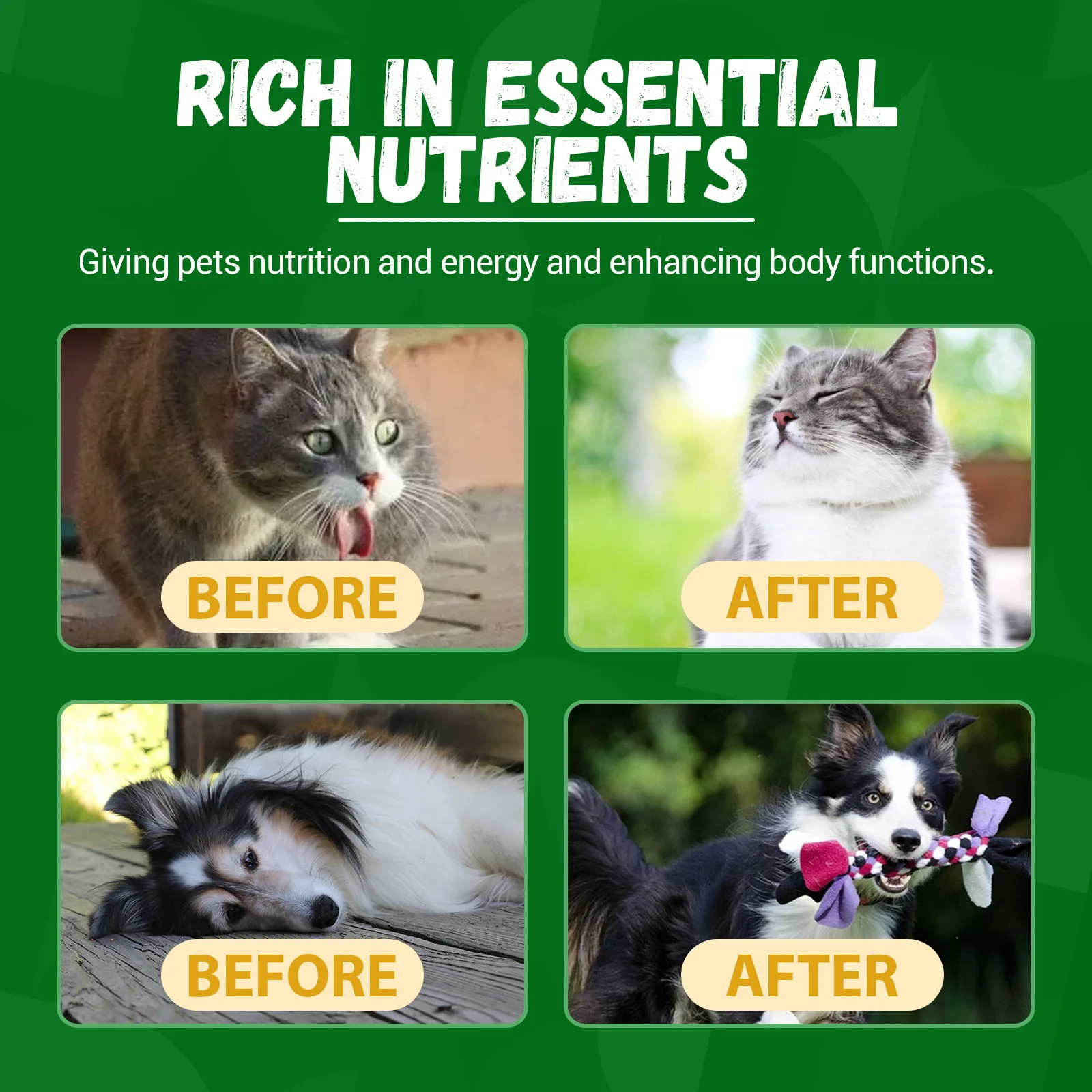 Yegbong Pet Kidney Drops Kidney Stone Removal Urinary Tract Care Maintain Urinary System Anti Inflammation Dog Health Supplement - Image 3