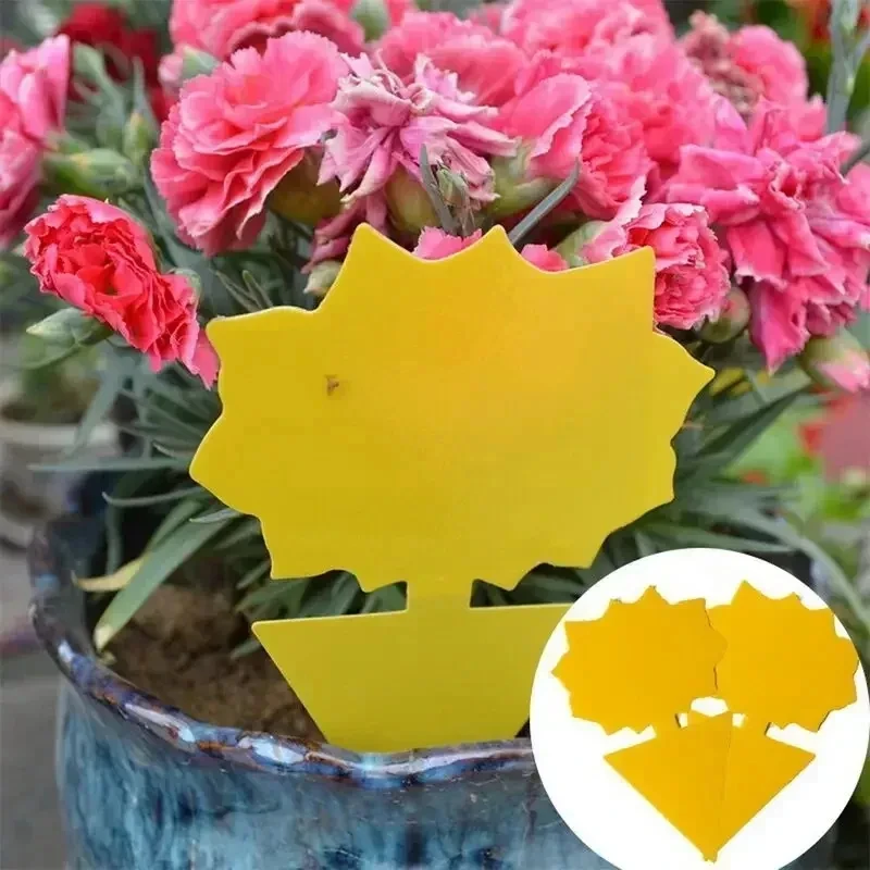 36 Pieces/set of Yellow Insect Traps, Garden Flower Traps, Traps to Eliminate Pests, Small Flying Insects, Small Black Flying in - Image 5