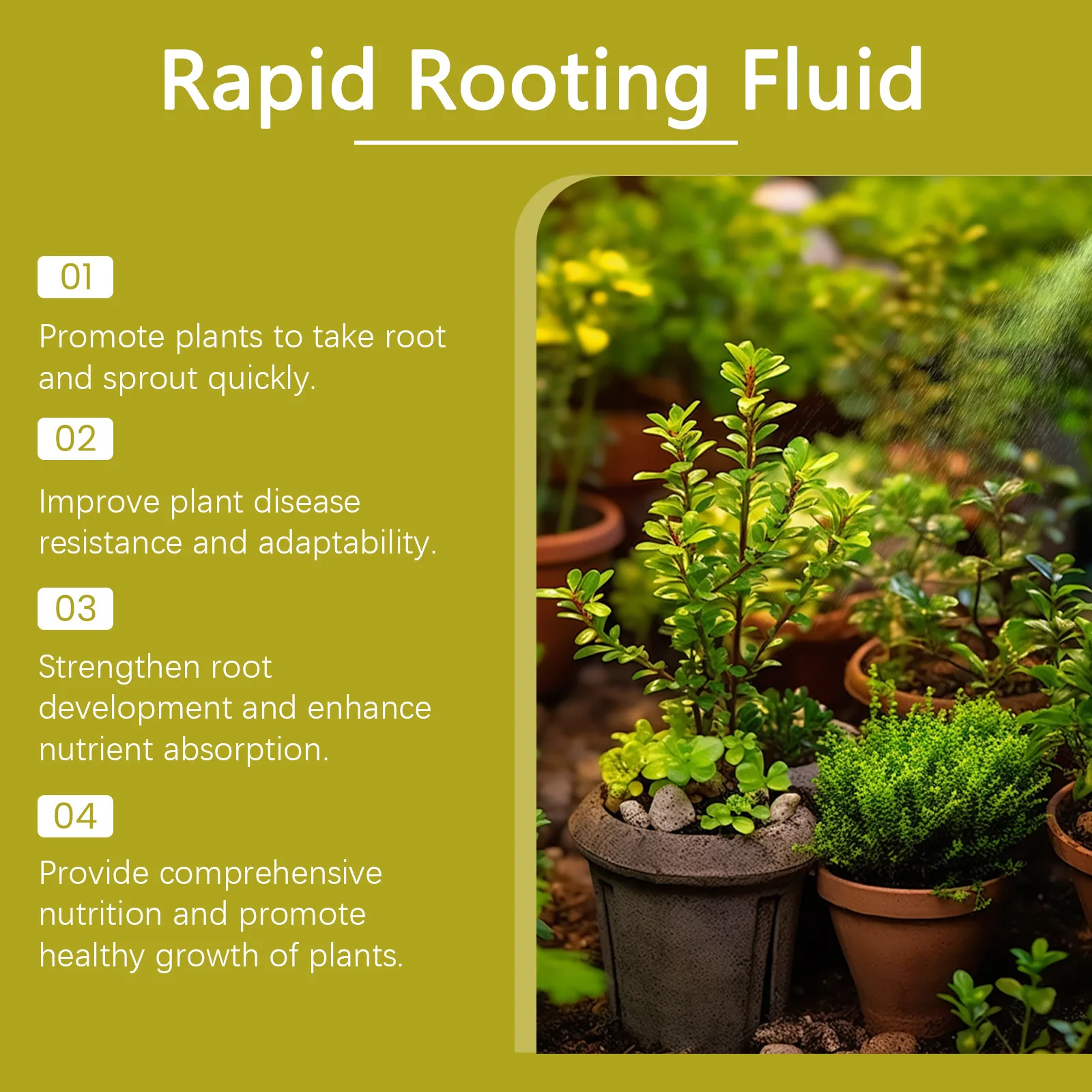 100ml Succulent Root Booster Potted Plant Nutrient Rapid Rooting Stimulator Fertilizer Supplement for Healthy Root Development - Image 4