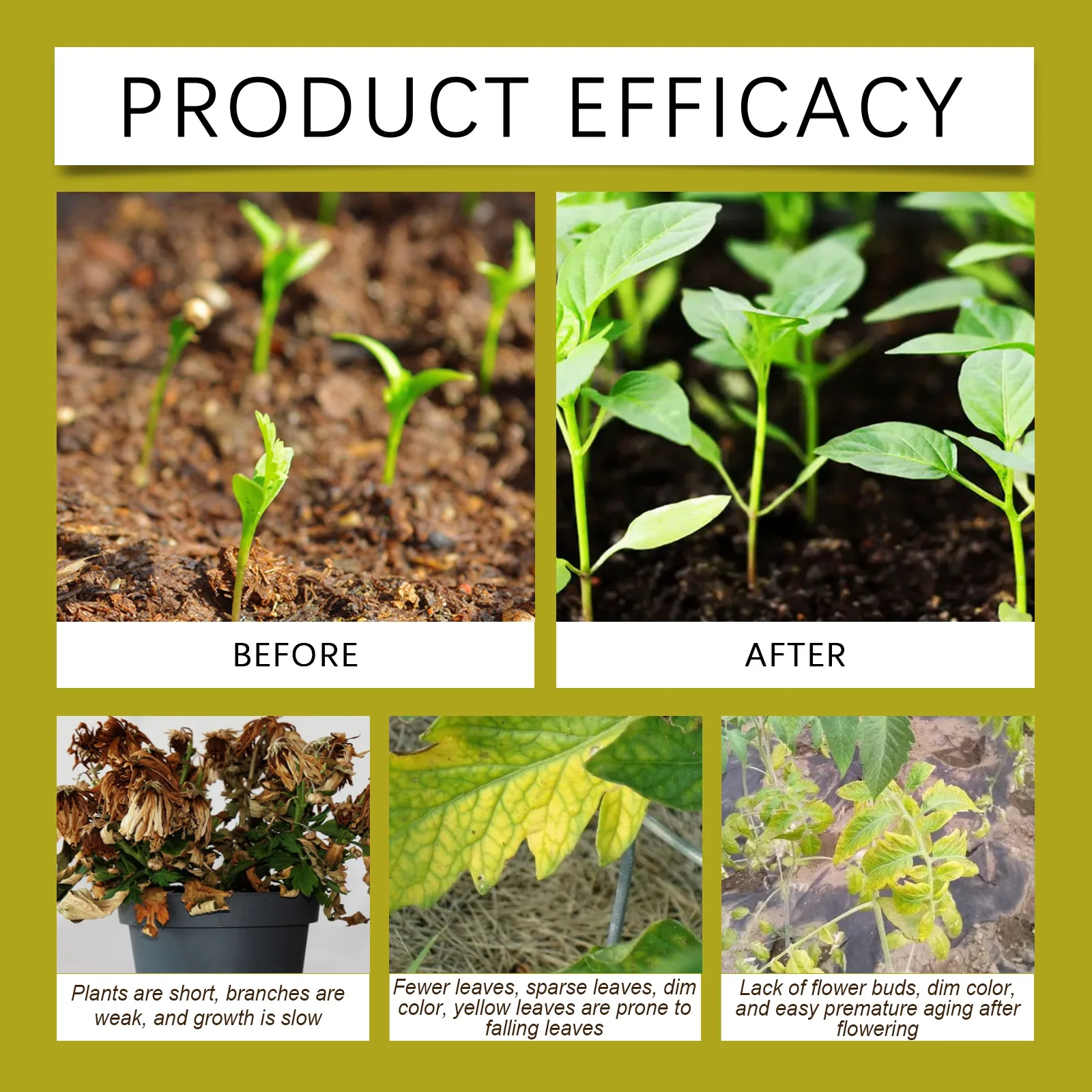 100ml Succulent Root Booster Potted Plant Nutrient Rapid Rooting Stimulator Fertilizer Supplement for Healthy Root Development - Image 5