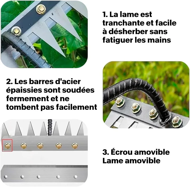 5/6/7/8 Teeth 1PCS Carbon Steel Garden Hand Rake for Farm Garden Weeding Tools Scarifier Agricultural Nail Harrow Metal Harrow - Image 4