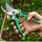 Stainless Steel Professional Gardening Shears Pruning branches Fruit trees Flowers Household Pruning Tools Shears