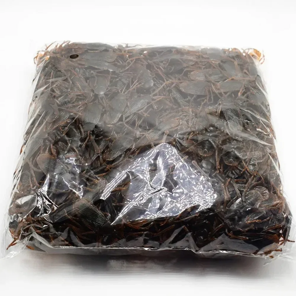 5-50Pcs Halloween gadget rubber Funny Fake Cockroach joke Decoration Pranks Novelty Simulation False Plastic Bugs creative Toys