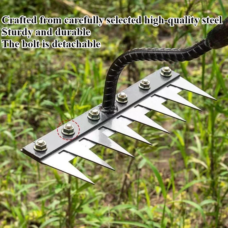 5/6/7/8 Teeth 1PCS Carbon Steel Garden Hand Rake for Farm Garden Weeding Tools Scarifier Agricultural Nail Harrow Metal Harrow - Image 3