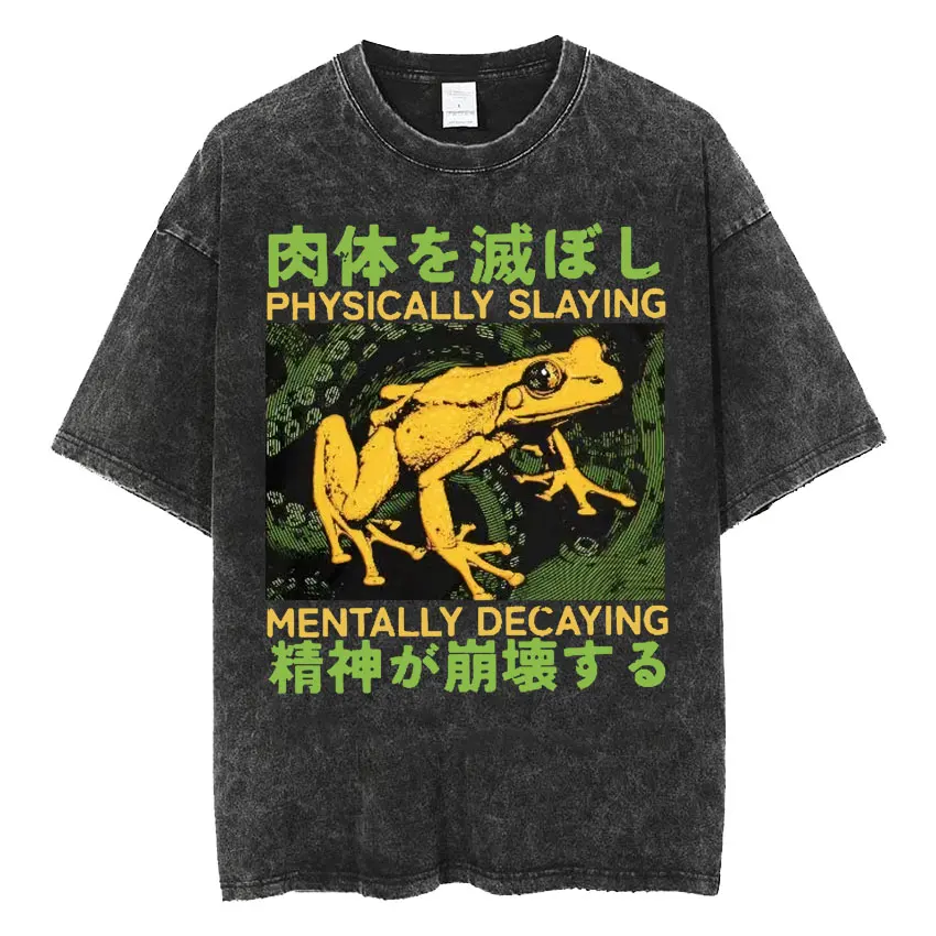 The Horrors Are Never Ending Yet I Remain Silly T-shirt Funny Japanese Style Frog Retro Washed T Shirt Men's Oversized Tees Tops - Image 4