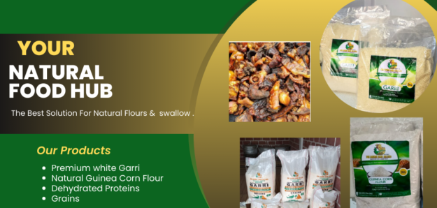 DG AGRO & ALLIED SERVICES LIMITED