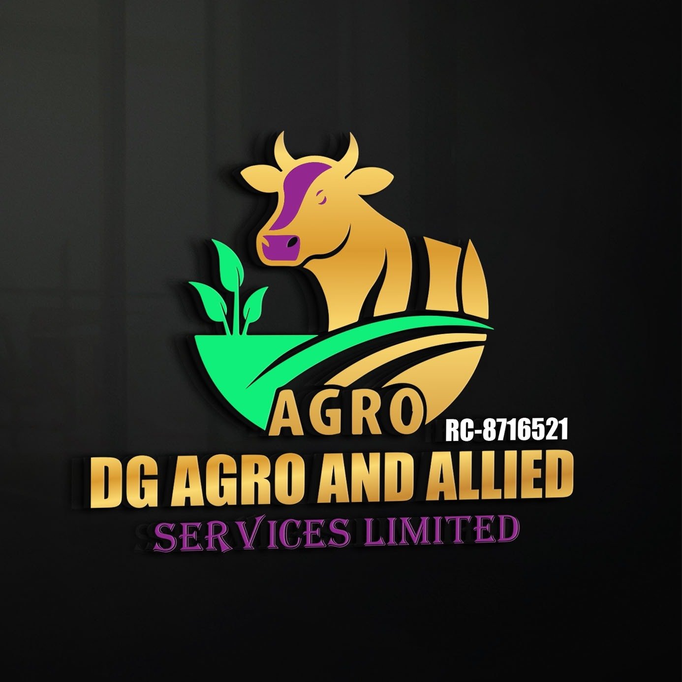 DG AGRO & ALLIED SERVICES LIMITED